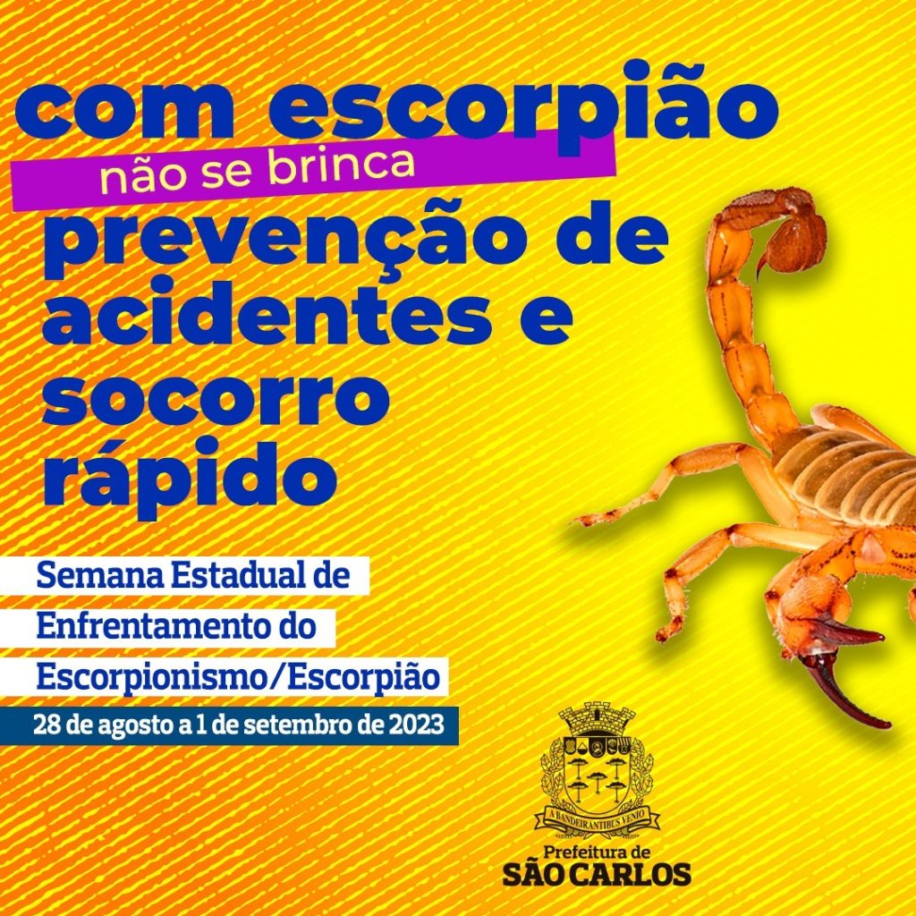 CAMPANHA ORIENTA SOBRE PREVENÇÃO E ADOÇÃO DE PRÁTICAS PARA EVITAR ENVENENAMENTO POR PICADA DE ESCORPIÕES