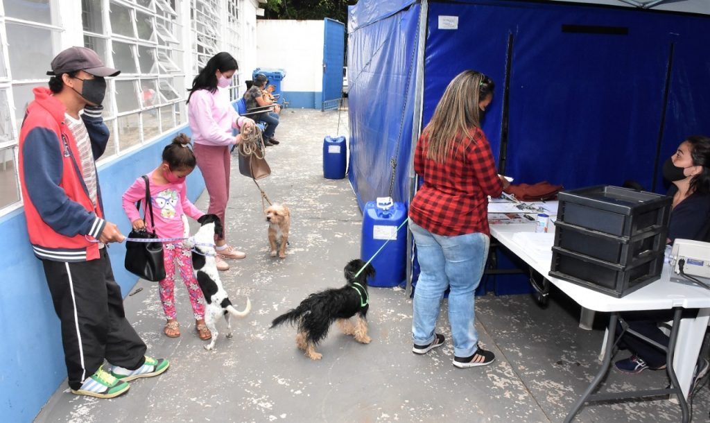 PREFEITURA DE SÃO CARLOS JÁ CASTROU 3.490 ANIMAIS DOMÉSTICOS EM 2023