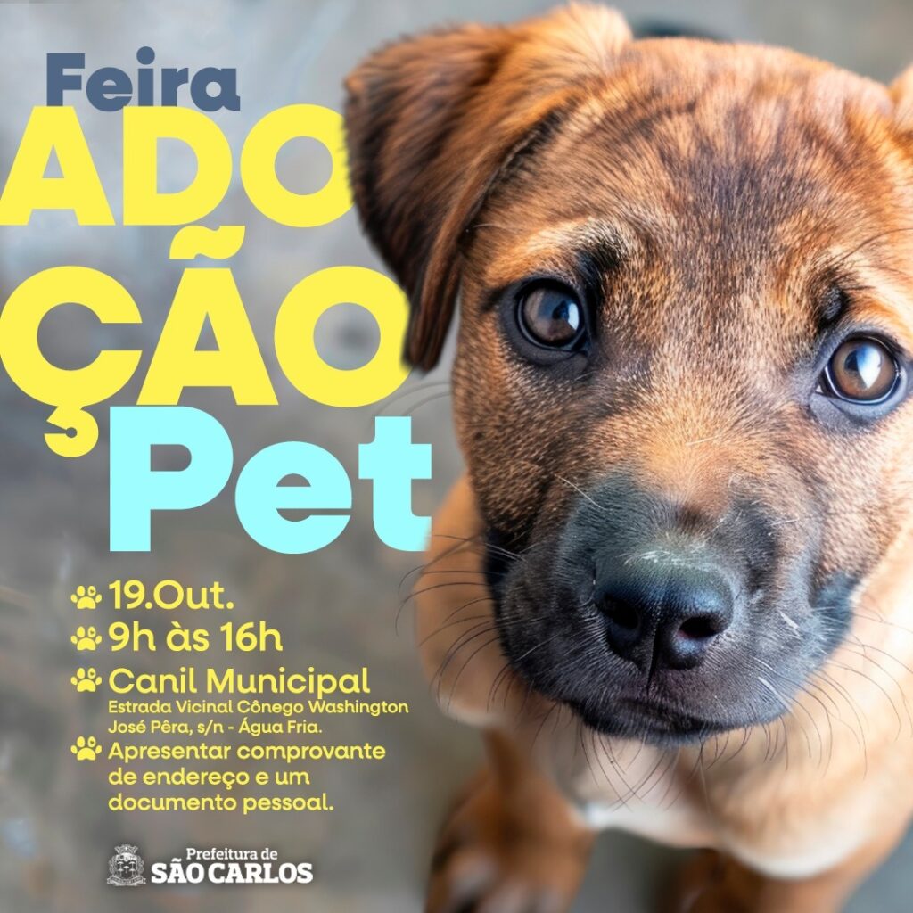 FEIRA DE ADOÇÃO PET ACONTECE SÁBADO NO CANIL MUNICIPAL