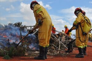 SÃO CARLOS É A PRIMEIRA CIDADE DO ESTADO A CONTAR COM BRIGADA DE INCÊNDIO FORMADA POR EFETIVO DO CORPO DE BOMBEIROS