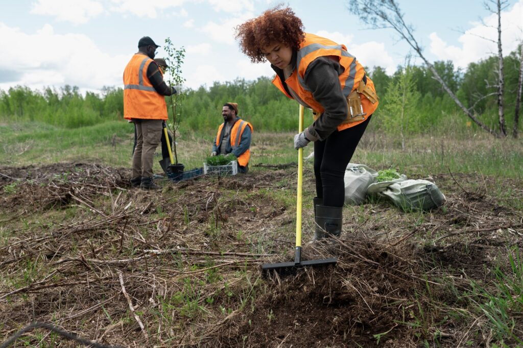 SÃO CARLOS INICIA ELABORAÇÃO DO PLANO MUNICIPAL DE ARBORIZAÇÃO URBANA