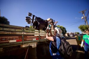 MUTIRÃO CONTRA A DENGUE VISTORIA MAIS DE 1,6 MIL IMÓVEIS NO SÃO CARLOS VIII E INTENSIFICA AÇÕES PREVENTIVAS